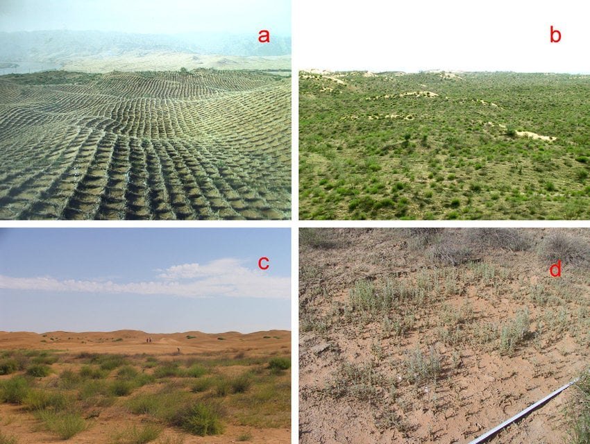 DREVO Coastal Green Corridor